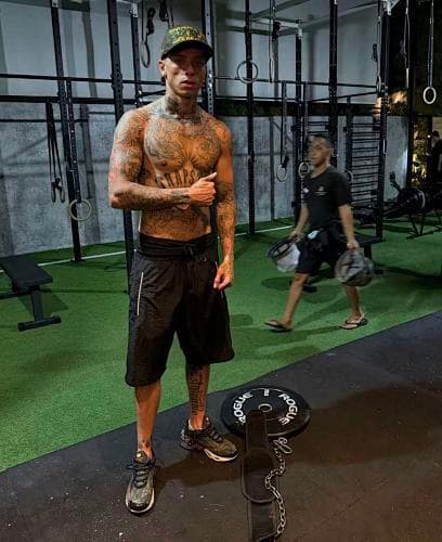 SYNAWORLD STAR-CAP-BROWN 做旧开裂印花 恶行刺绣 弯檐帽 棕色 SY-201